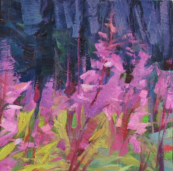 Fireweed, Brooks Peninsula